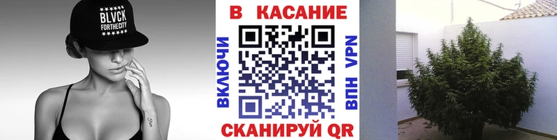 Codein Сенгилей