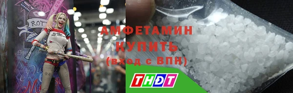 стафф Иннополис
