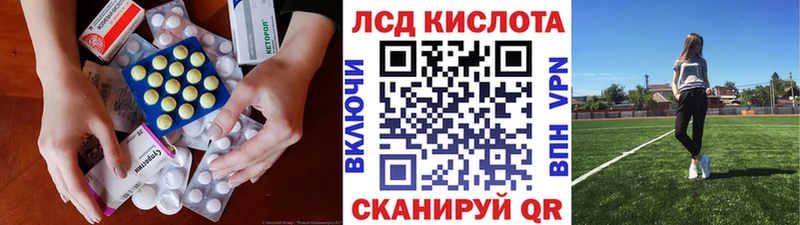 где продают наркотики  Сенгилей  Лсд 25 экстази ecstasy 