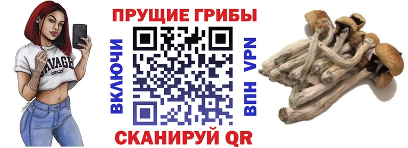 Галлюциногенные грибы Magic Shrooms  Сенгилей 